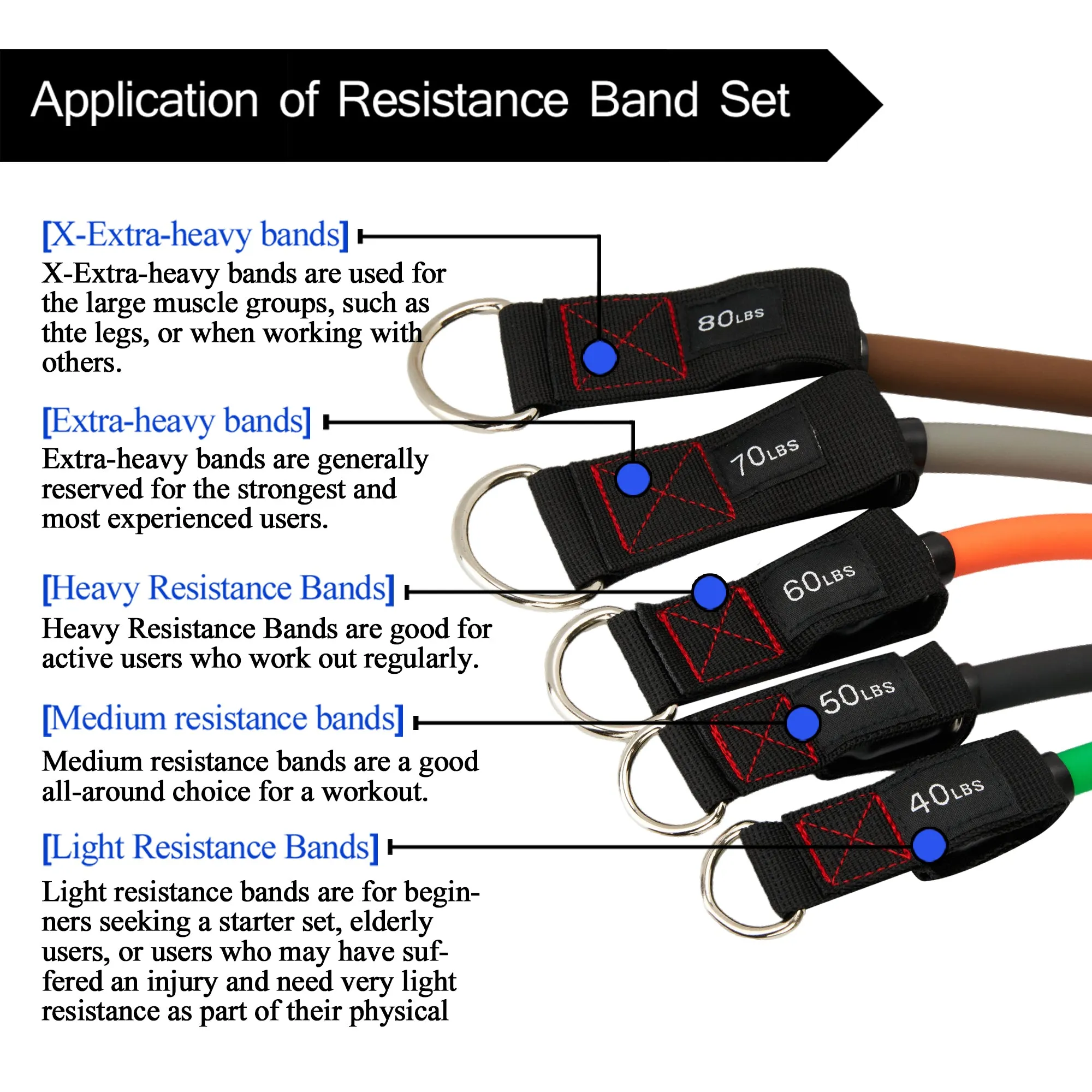 TheFitLife Exercise Resistance Bands with Handles - 5 Fitness Workout Bands Stackable up to 300 lbs, Training Tubes with Large Handles, Ankle Straps, Door Anchor, Carry Bag